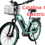 Catalina 48V Electric Bike